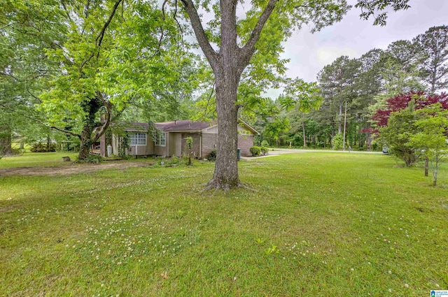 105 Campbell Rd, Clanton, AL 35045 - view of yard