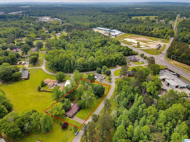 105 Campbell Rd, Clanton, AL 35045 - bird's eye view featuring a view of trees