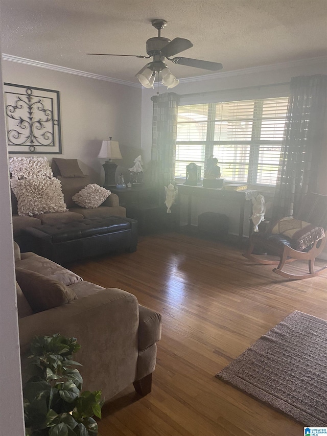 living area featuring crown molding, a textured ceiling, ceiling fan, and wood finished floors