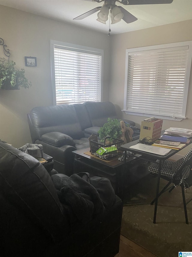 living room featuring a ceiling fan and wood finished floors