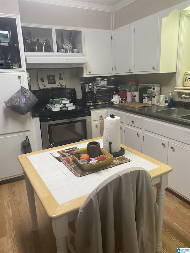 kitchen with light wood-style floors, under cabinet range hood, a sink, and electric stove