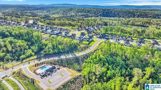 4546 Brexton St, Trussville, AL 35173 - birds eye view of property with a view of trees