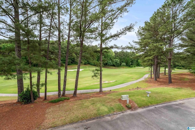 934 Chestnut Oaks Cir, Hoover, AL 35244 - view of community with a lawn