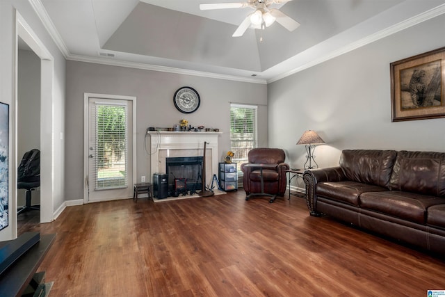 4126 Jubilee Ln, Moody, AL 35004 - living area featuring a raised ceiling, wood finished floors, a ceiling fan, a premium fireplace, and crown molding