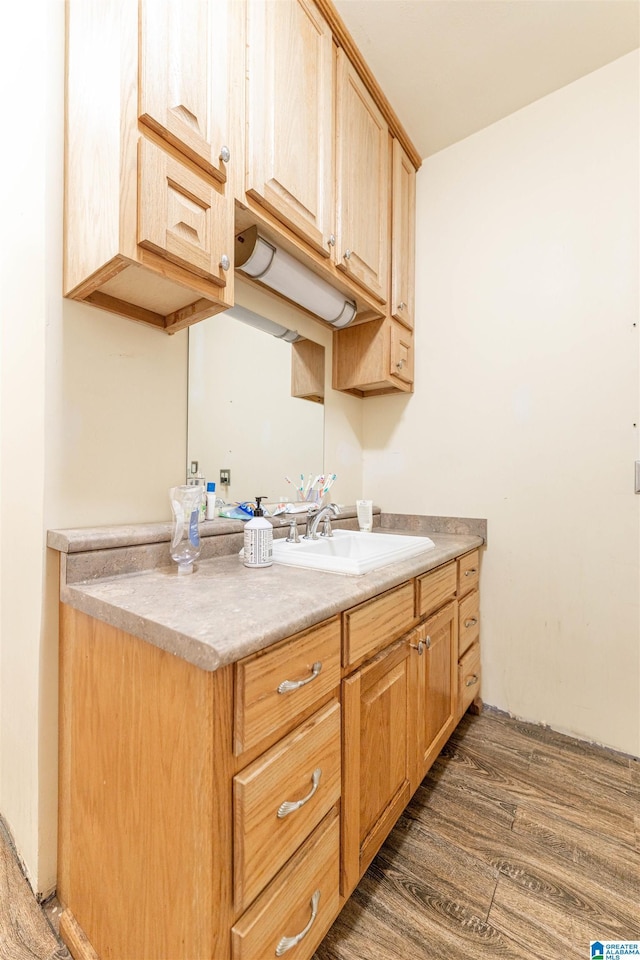 interior space with a sink and wood finished floors