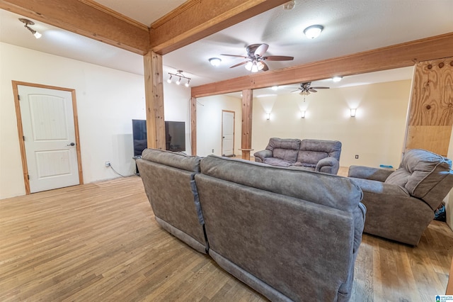 living room featuring ceiling fan, crown molding, and wood finished floors