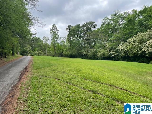 416 V C Ln Unit 0, Oneonta AL, 35121 land for sale
