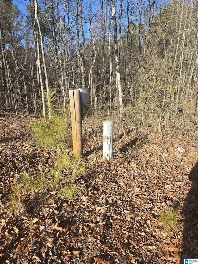 0 Cragford Rd Unit 0, Ashland, AL 36251