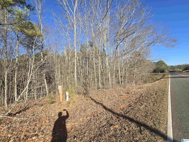 0 Cragford Rd Unit 0, Ashland, AL 36251