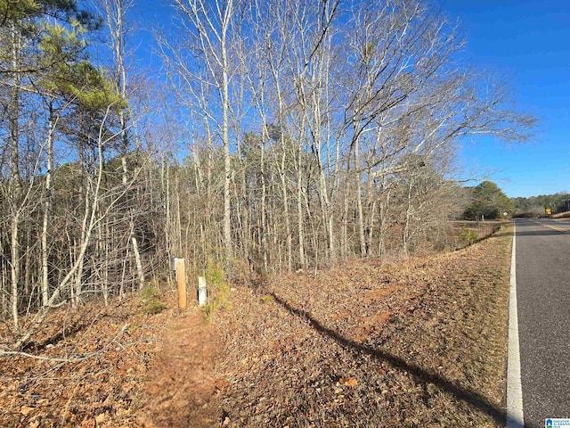 0 Cragford Rd Unit 0, Ashland, AL 36251