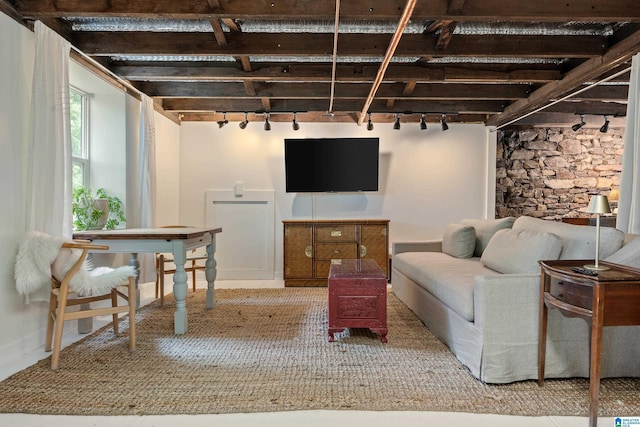 living area featuring rail lighting