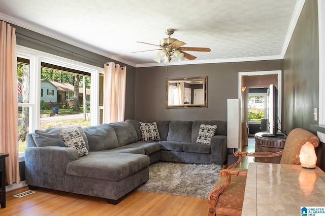 living area with wood finished floors, ceiling fan, and ornamental molding