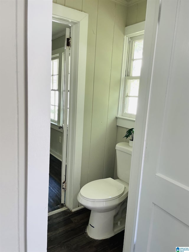 bathroom with toilet, a wealth of natural light, and wood finished floors