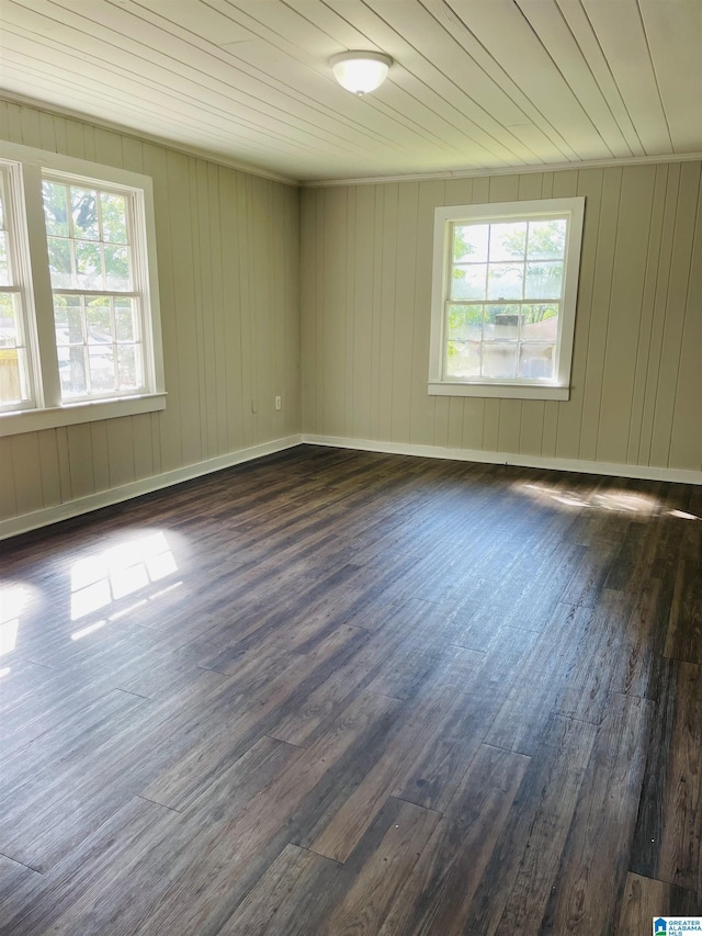 empty room featuring dark wood-type flooring