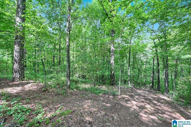 view of nature featuring a wooded view