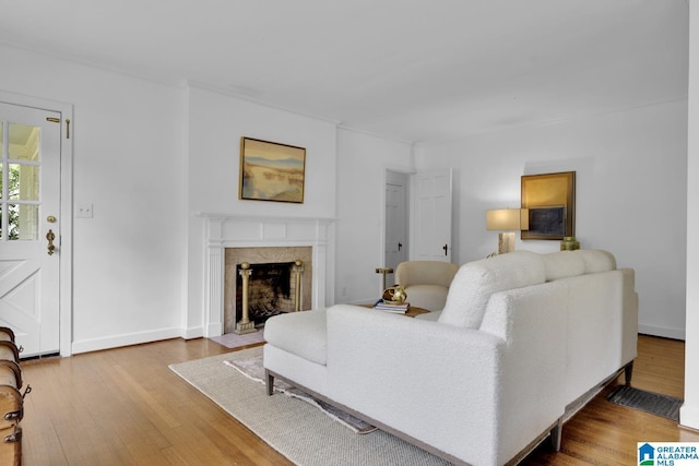 living area featuring wood finished floors, a premium fireplace, and baseboards