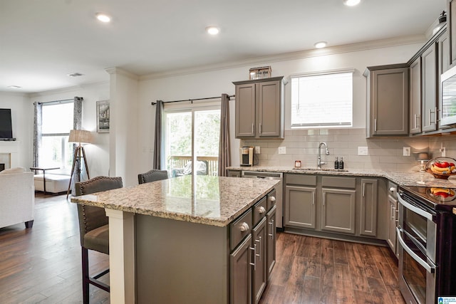 1064 Timberline Rdg, Calera, AL 35040 - kitchen with open floor plan, appliances with stainless steel finishes, a sink, and gray cabinets