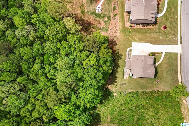 1064 Timberline Rdg, Calera, AL 35040 - bird's eye view