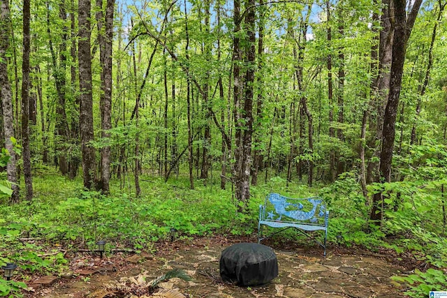 1064 Timberline Rdg, Calera, AL 35040 - view of yard