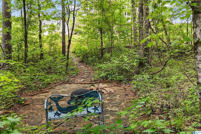 1064 Timberline Rdg, Calera, AL 35040 - view of nature