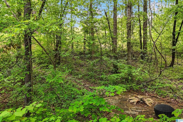 1064 Timberline Rdg, Calera, AL 35040 - view of local wilderness with a forest view