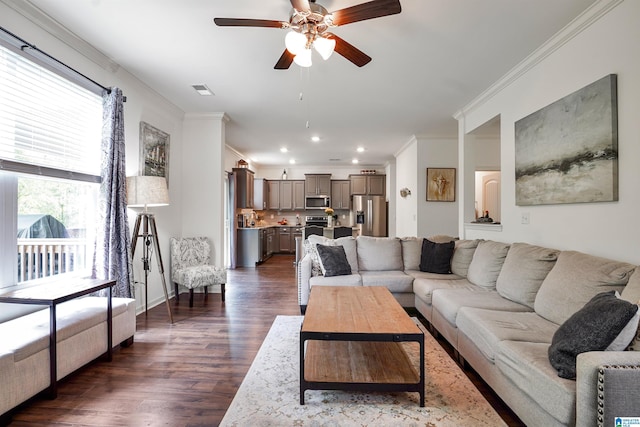 1064 Timberline Rdg, Calera, AL 35040 - living area featuring crown molding, a wealth of natural light, a ceiling fan, and dark wood-type flooring