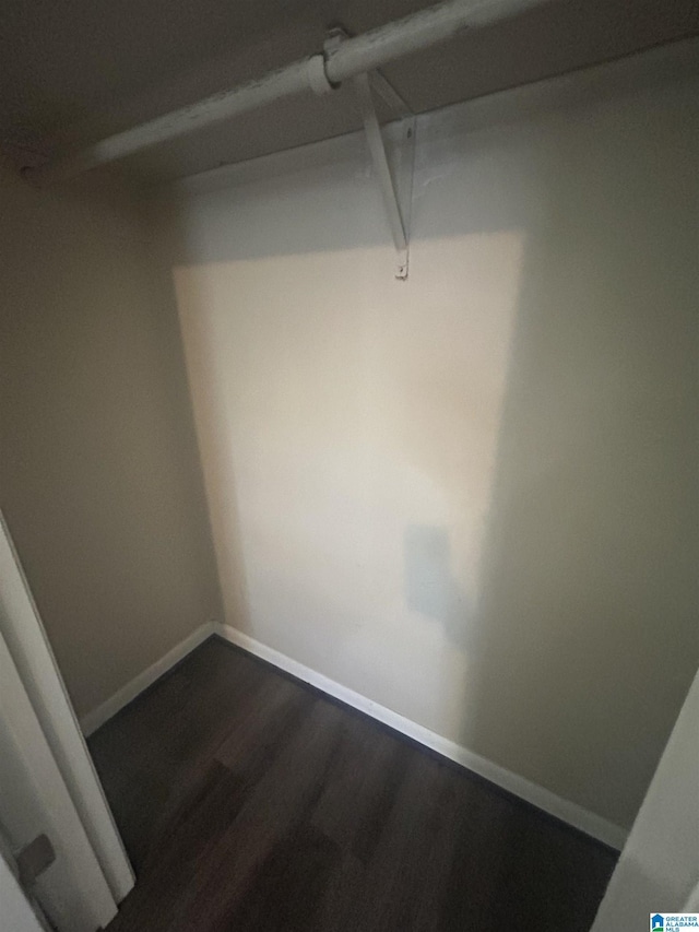 walk in closet featuring dark wood finished floors