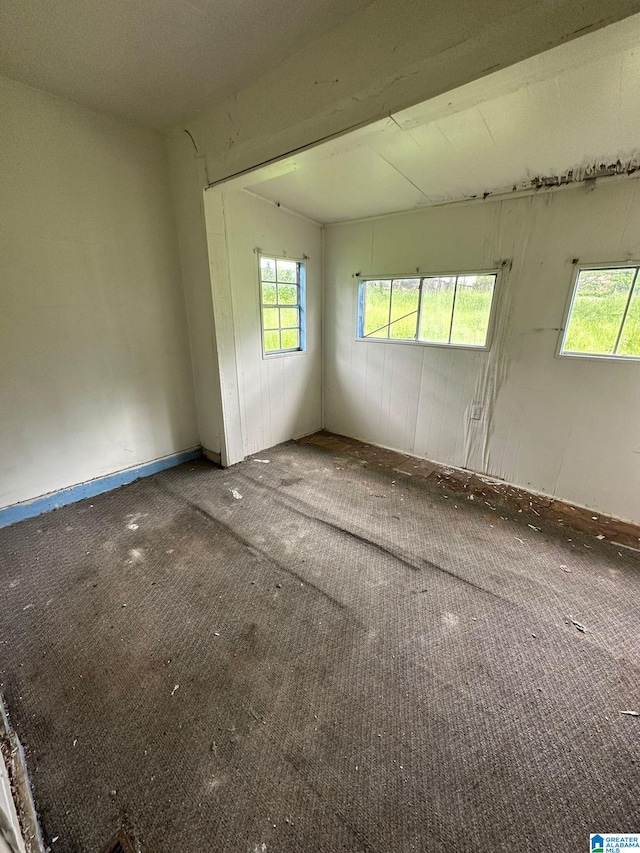 unfurnished room with carpet floors