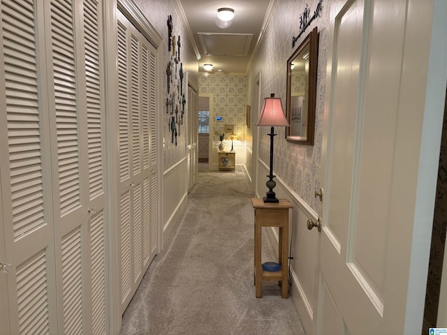 corridor featuring ornamental molding, attic access, carpet flooring, and wallpapered walls