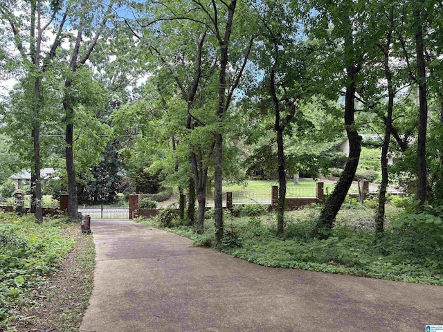 view of home's community featuring a gate and fence