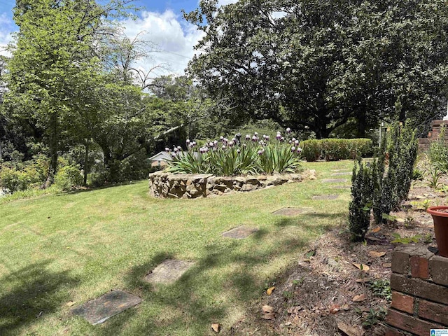 view of green lawn