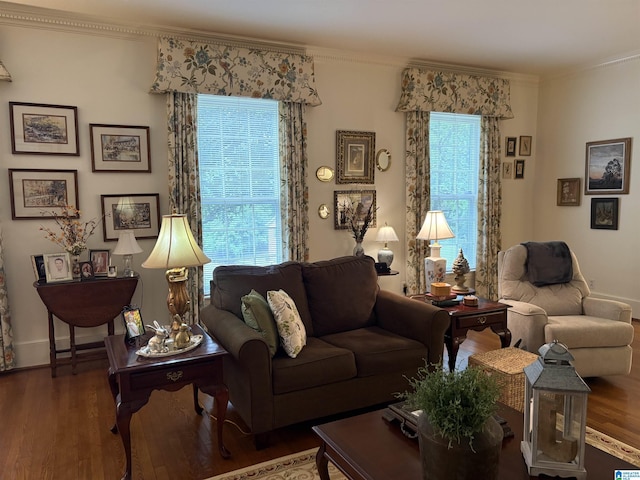 living room featuring crown molding, wood finished floors, and baseboards