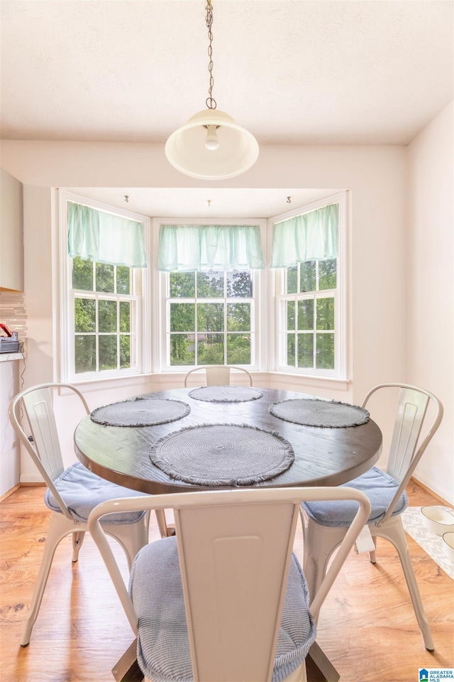 1111 Creek Trl, Anniston, AL 36206 - dining area with light wood finished floors, a wealth of natural light, and baseboards