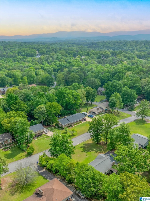1111 Creek Trl, Anniston, AL 36206 - aerial view at dusk with a wooded view