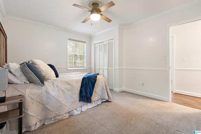 816 8th Cir N, Pell City, AL 35125 - bedroom with ornamental molding, a closet, carpet flooring, baseboards, and a ceiling fan