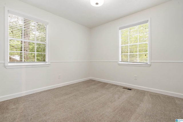 816 8th Cir N, Pell City, AL 35125 - spare room with carpet floors, healthy amount of natural light, and baseboards