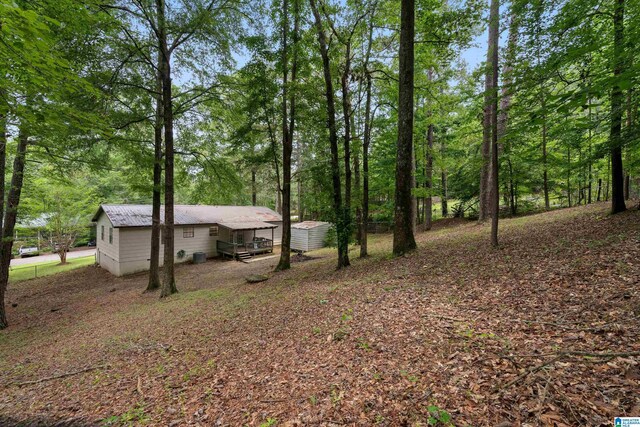 816 8th Cir N, Pell City, AL 35125 - view of yard