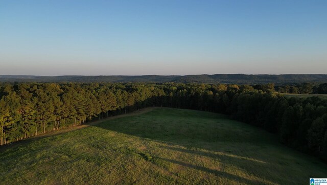 800 Barwick Rd Unit 1, Blountsville, AL 35031