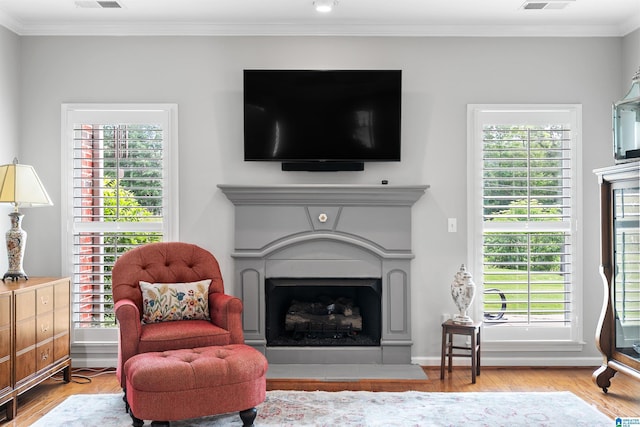 living area with wood finished floors, a fireplace, ornamental molding, and healthy amount of natural light