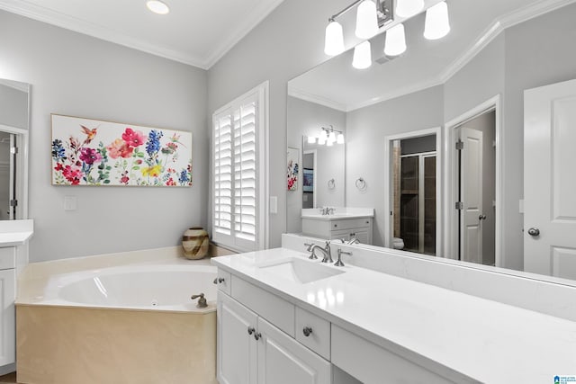bathroom featuring a stall shower, ornamental molding, a whirlpool tub, and two vanities