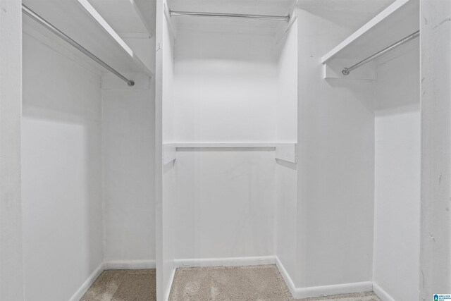 spacious closet with carpet