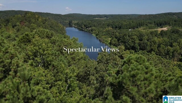 200 Camp Nod Rd Unit 1, Bessemer, AL 35023