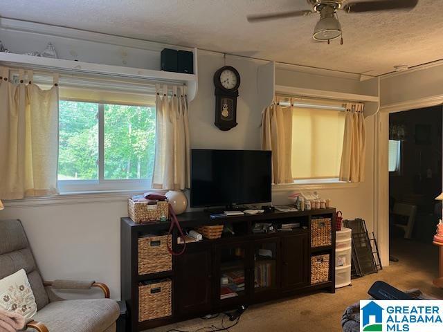 805 E St S, Talladega, AL 35160 - living room with a ceiling fan, a textured ceiling, and light colored carpet