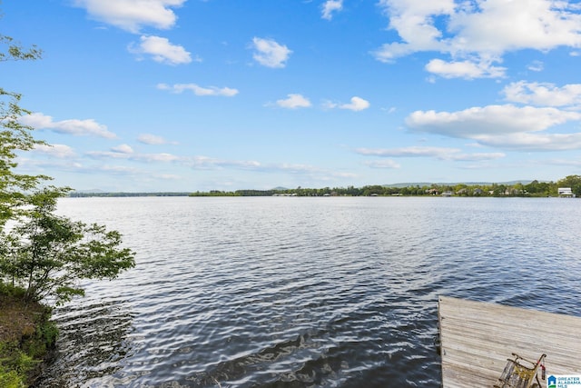 825 Dogwood Ln, Ashville, AL 35953 - dock area featuring a water view
