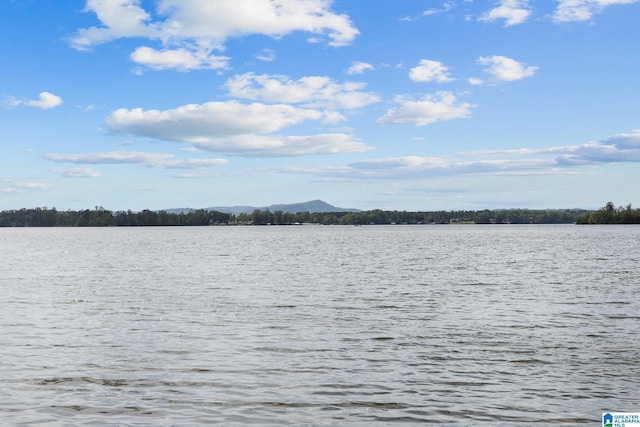 825 Dogwood Ln, Ashville, AL 35953 - view of water feature with a mountain view