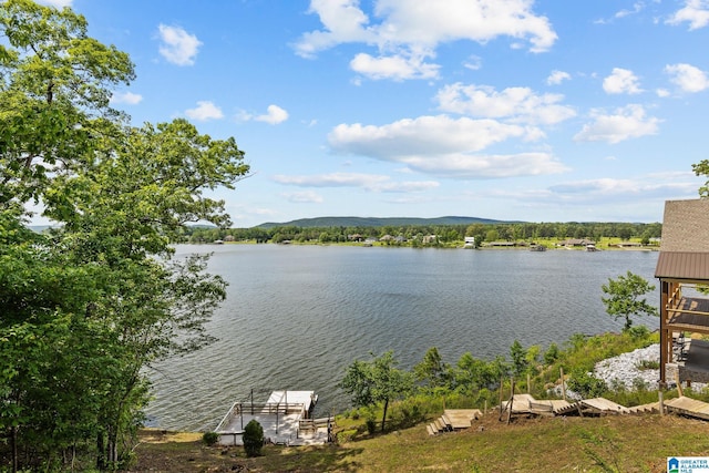 825 Dogwood Ln, Ashville, AL 35953 - view of water feature