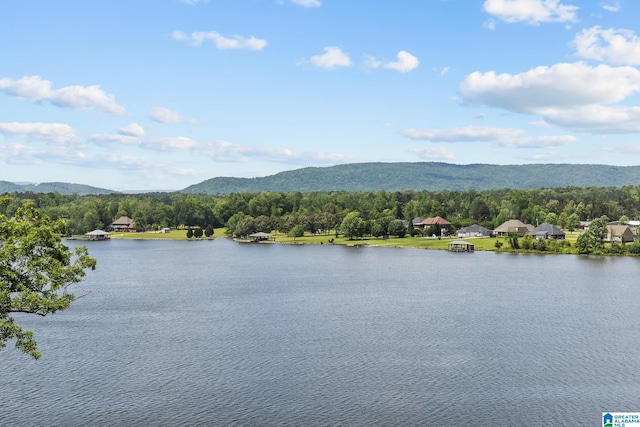 825 Dogwood Ln, Ashville, AL 35953 - water view featuring a mountain view