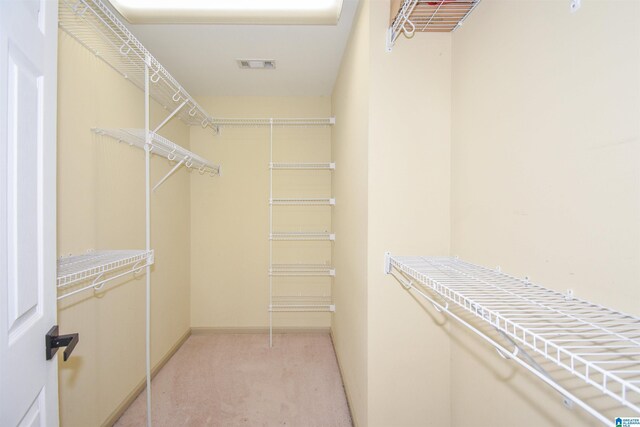 spacious closet with light colored carpet