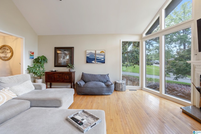 2616 Chimney Hills Cir, Vestavia Hills, AL 35226 - living area with wood-type flooring and high vaulted ceiling