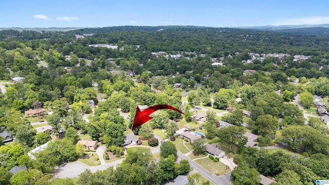 2616 Chimney Hills Cir, Vestavia Hills, AL 35226 - aerial view of a forest